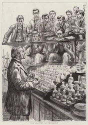 Medical Students at Work